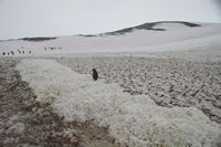 
DSC00054